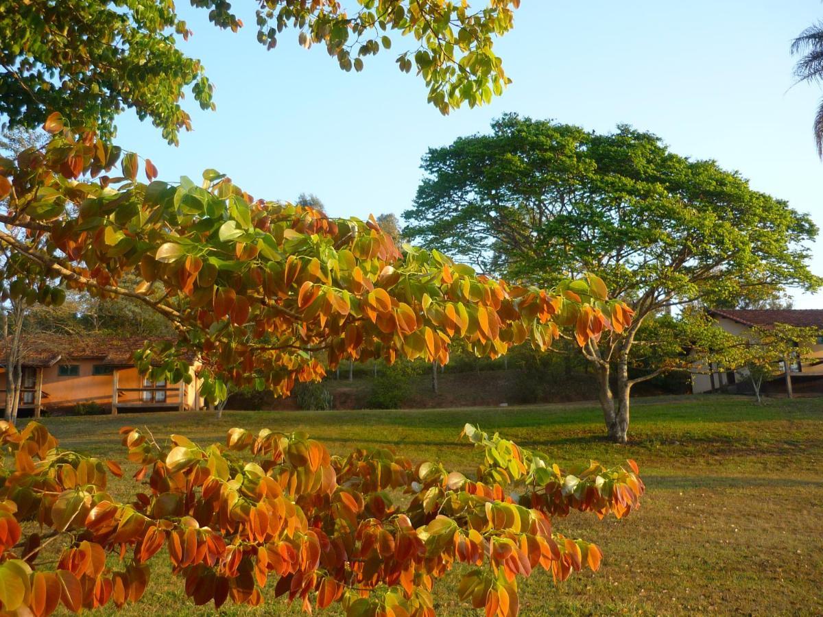 Porto Fazenda Hotel อัลเฟนัส ภายนอก รูปภาพ
